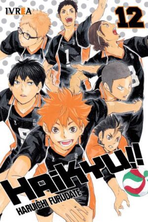 HAIKYU!! 12